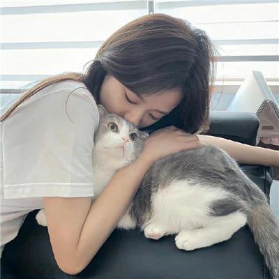 法网追凶第三季